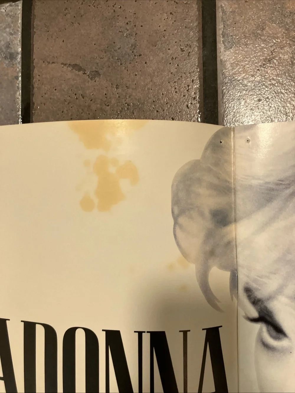 Vintage 1987 Madonna Who's That Girl World Tour Program Concert Book Biography